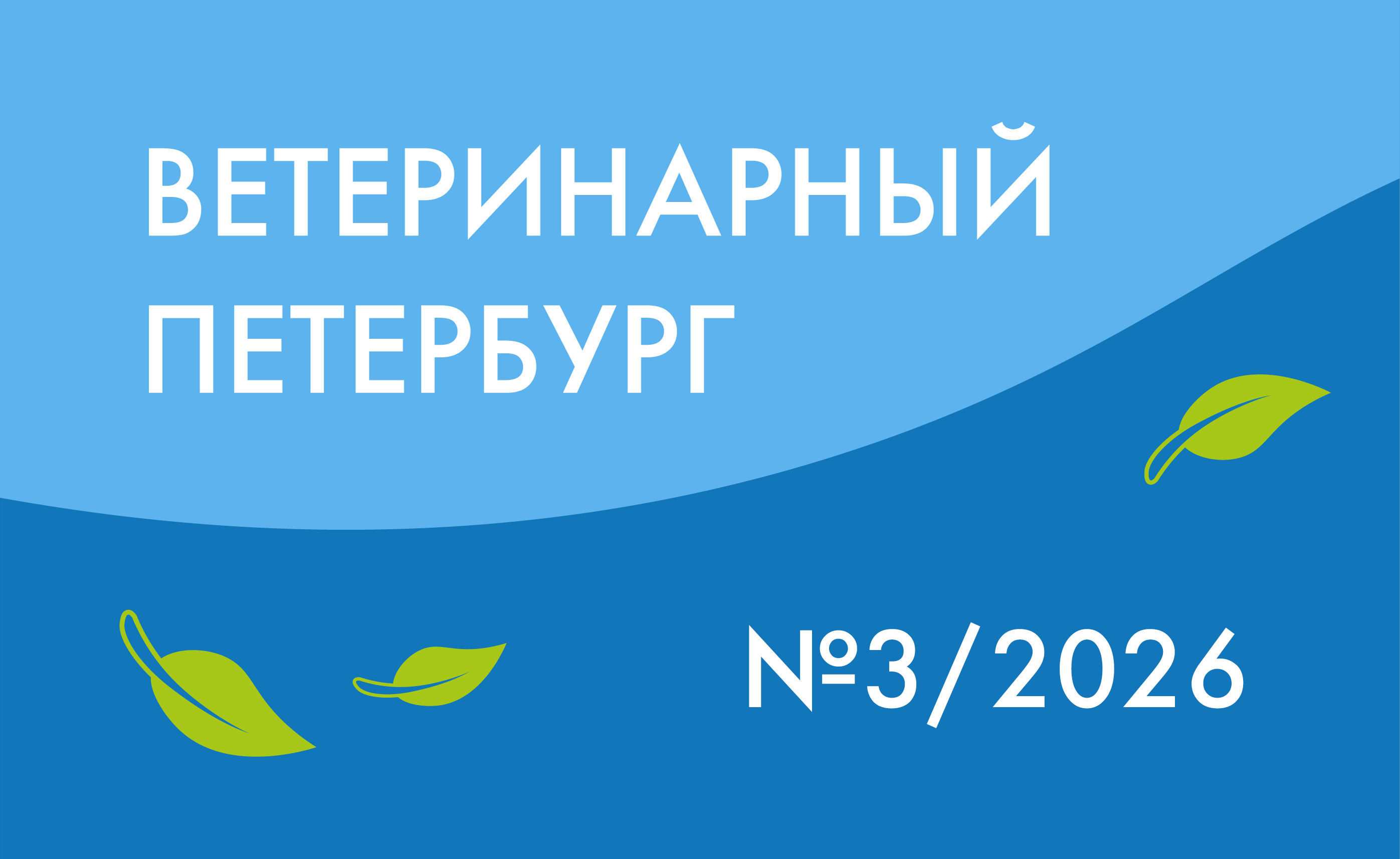 № 3/2026