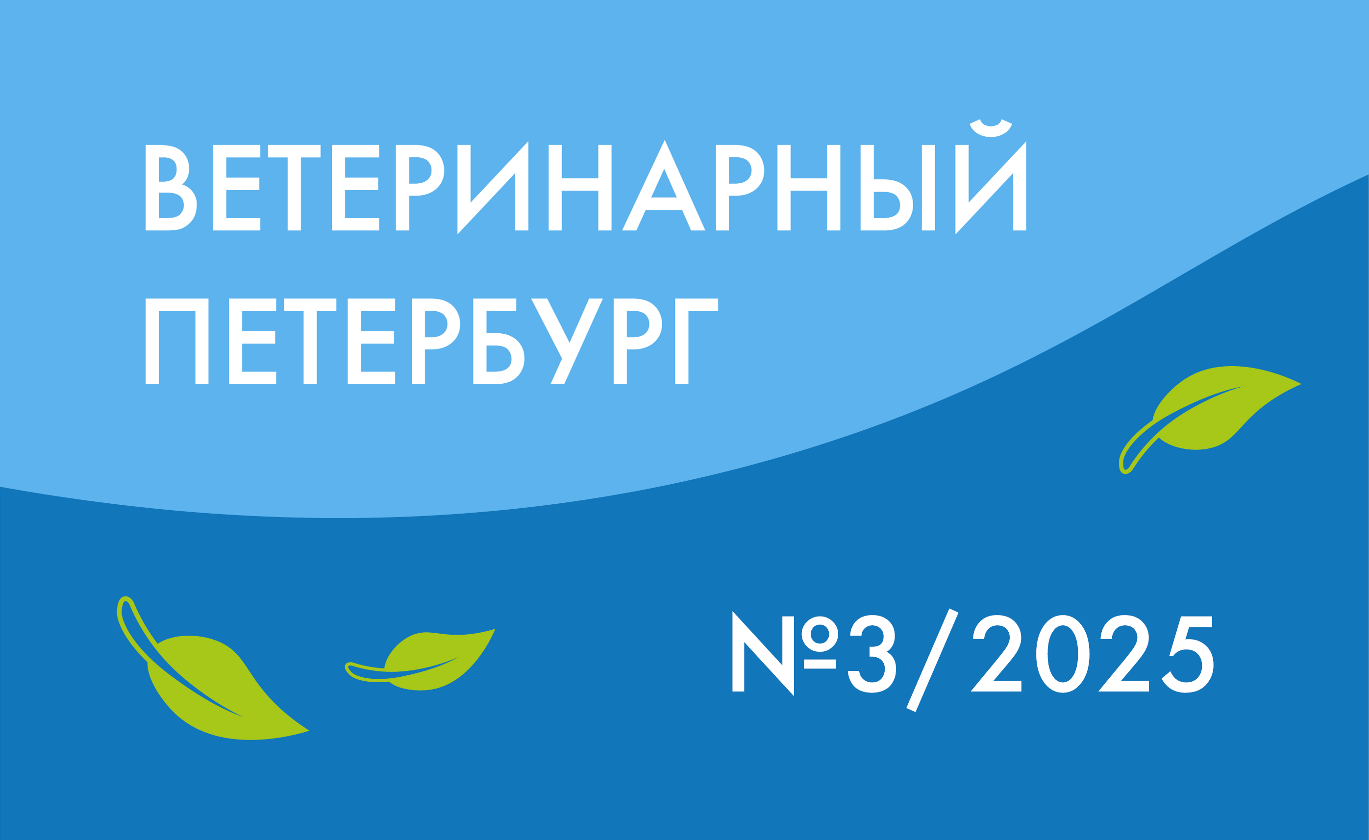 № 3/2025