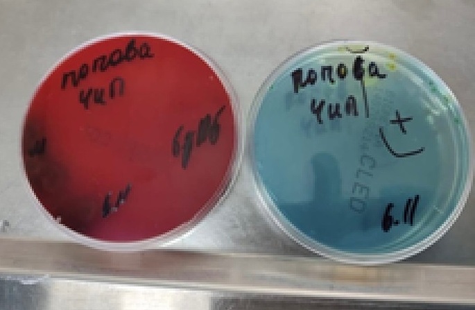 Рисунок 5_А Рисунок 5_А