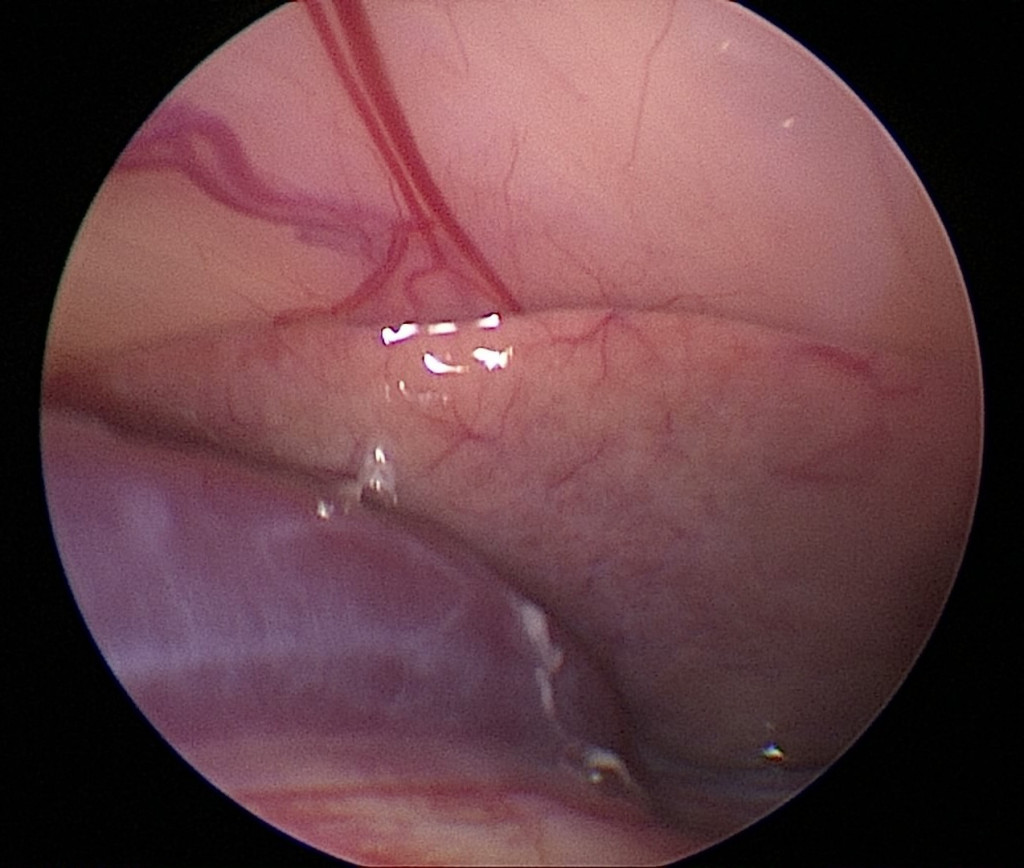 Фото 4 Фото 4