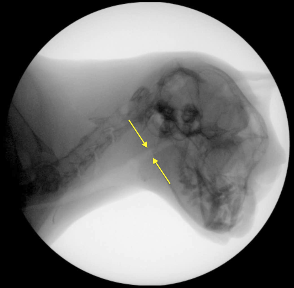 Рис 8б Рис 8б