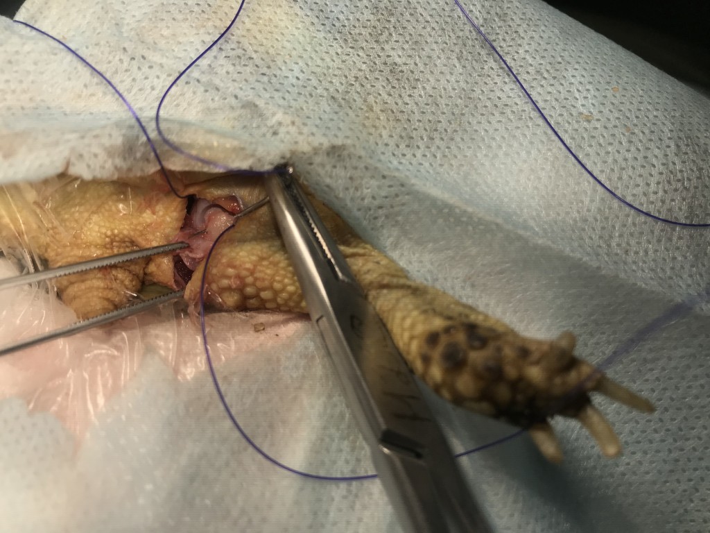 Фото 9 Фото 9