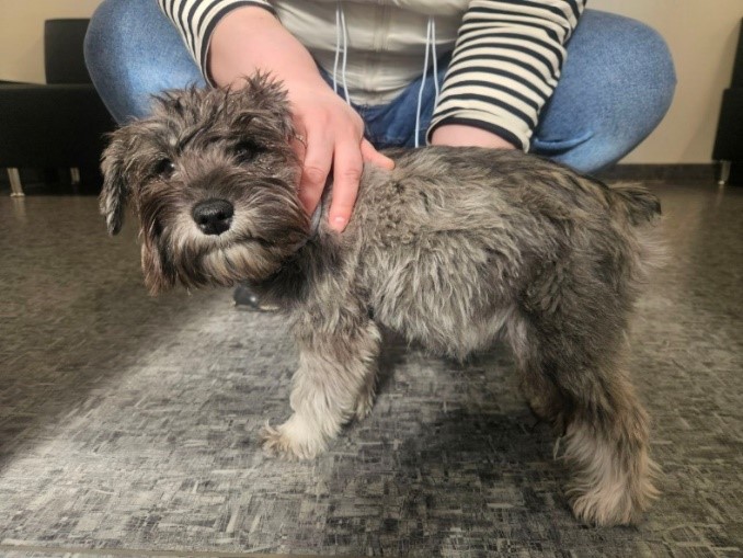 Фото 3 Фото 3