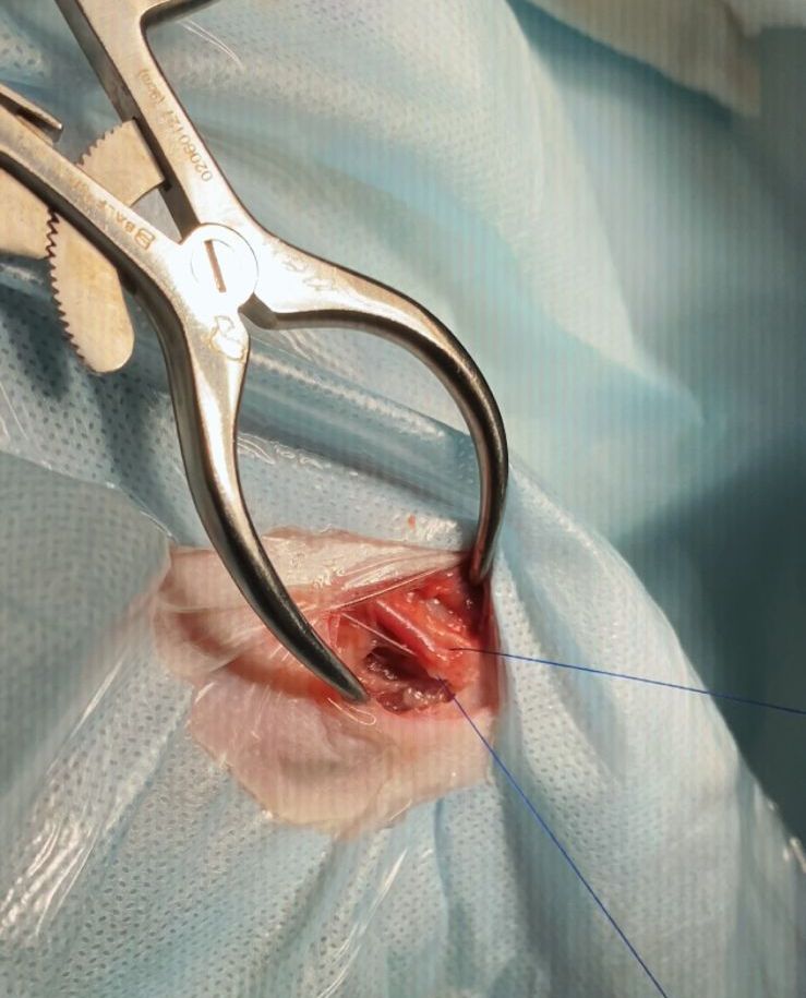 Рис 5 б Рис 5 б