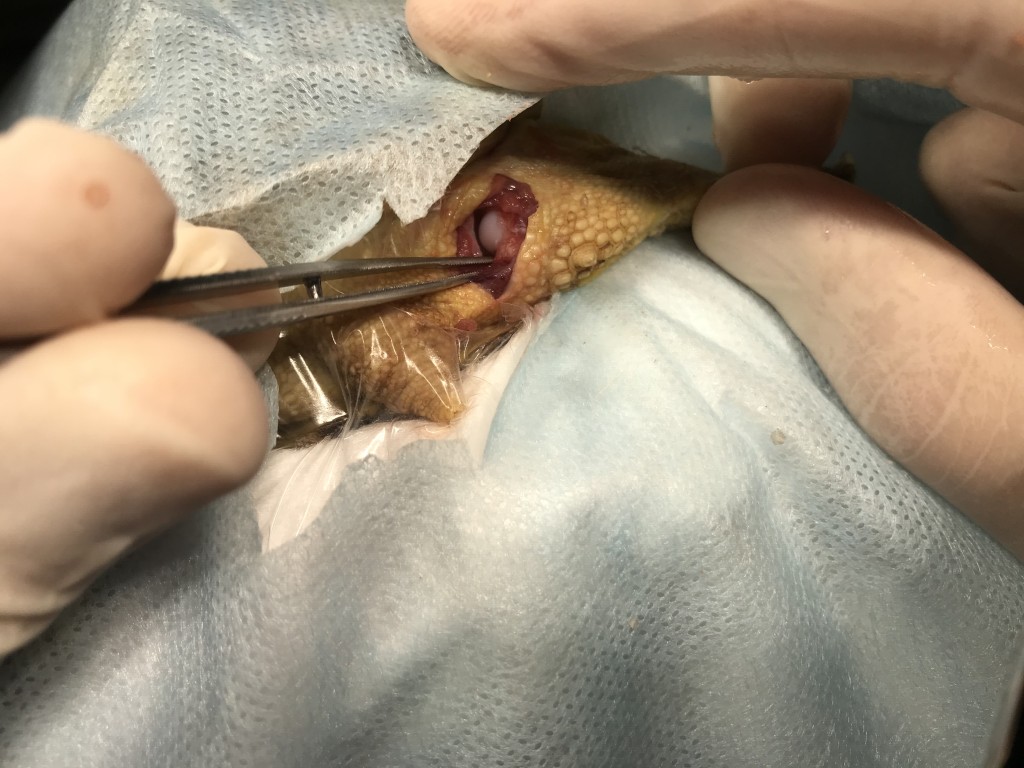 Фото 5 Фото 5