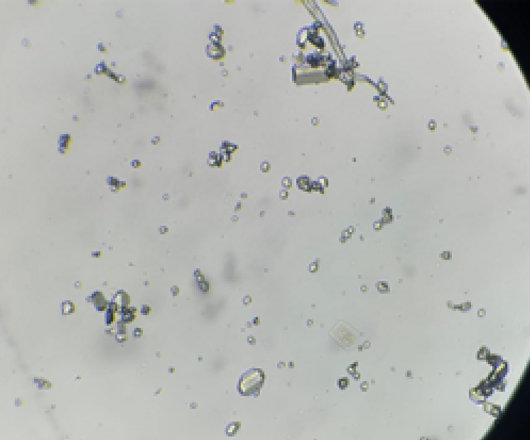 Рисунок 1 Рисунок 1