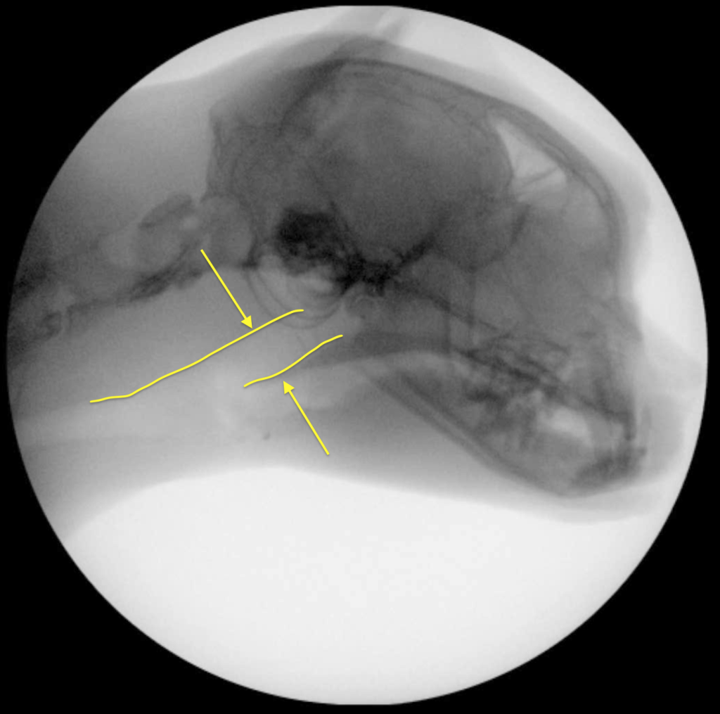 Рис 1а Рис 1а