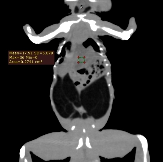 фото 1 фото 1