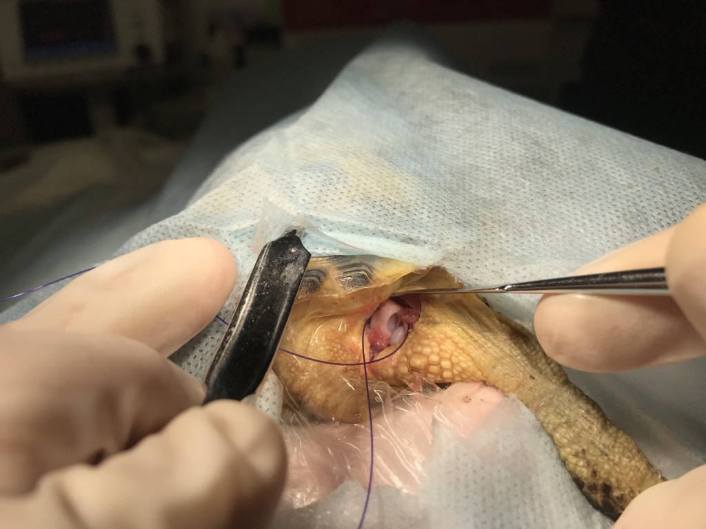 Фото 8 Фото 8