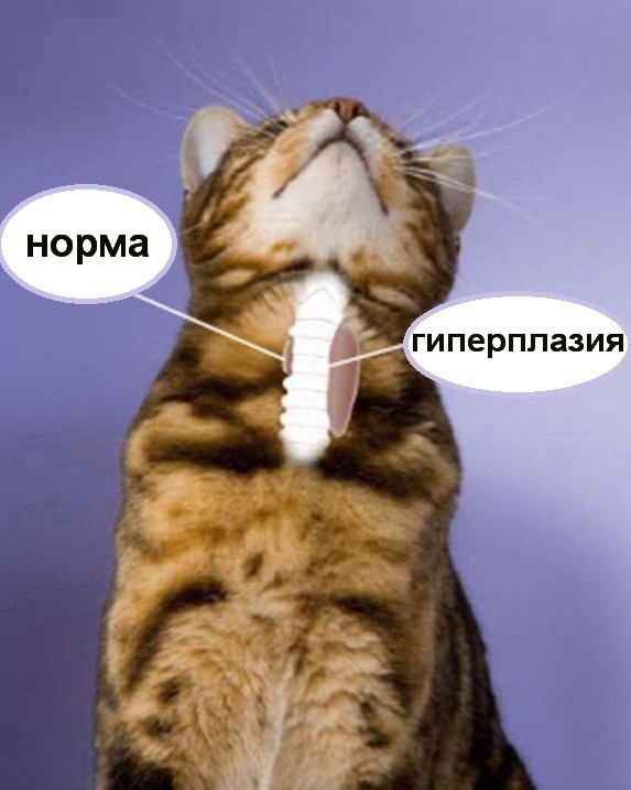 Рис. 1 Рис. 1