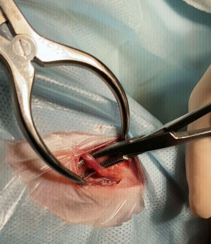 Рис 5 а Рис 5 а