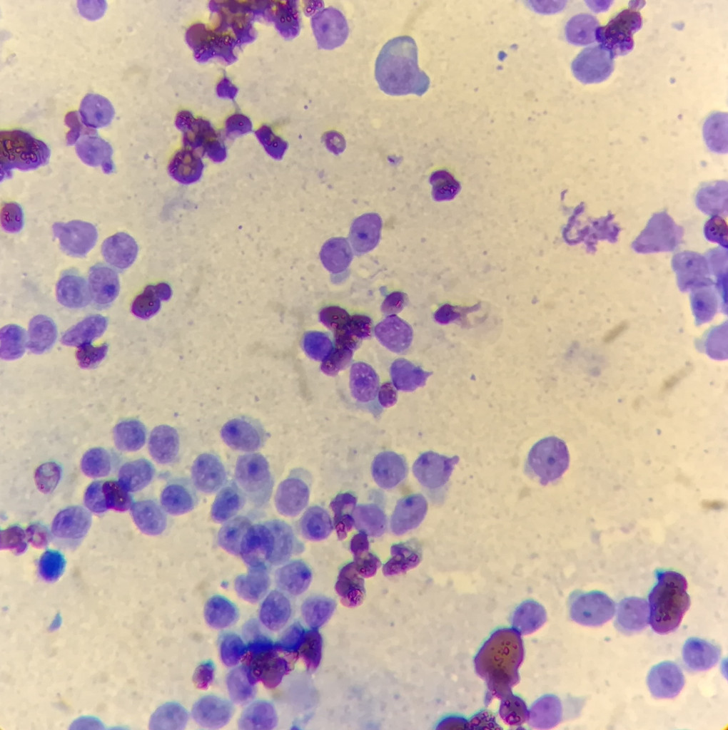 Фото 5 Фото 5