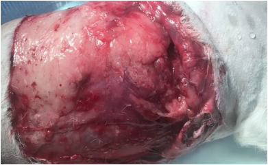 Фото 12 Фото 12