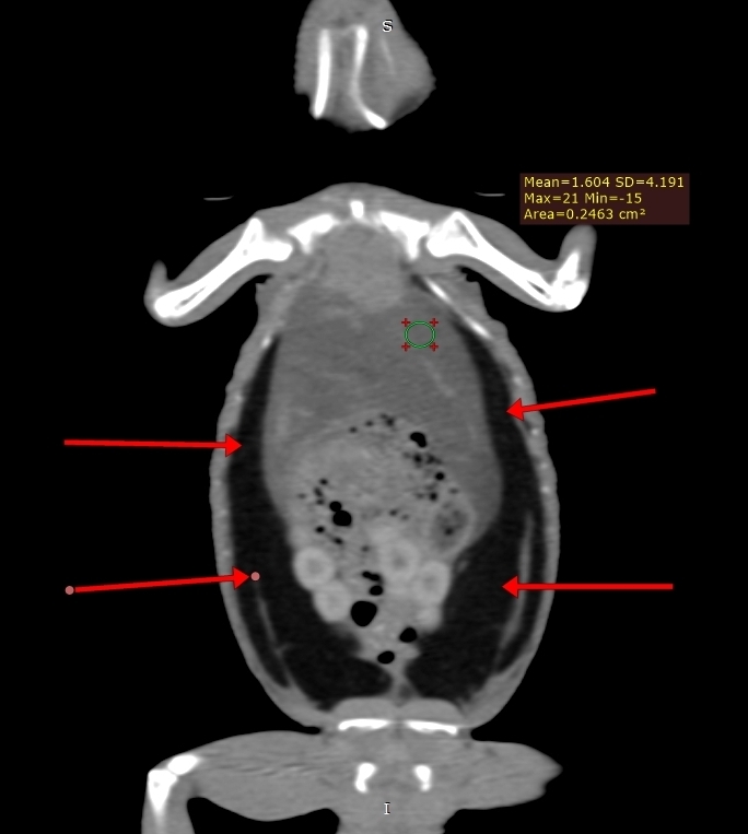 Фото 2 Фото 2