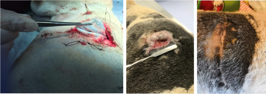 Фото 9-11 Фото 9-11