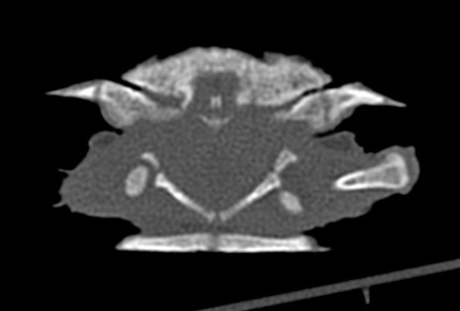 Фото 1.jpg Фото 1.jpg