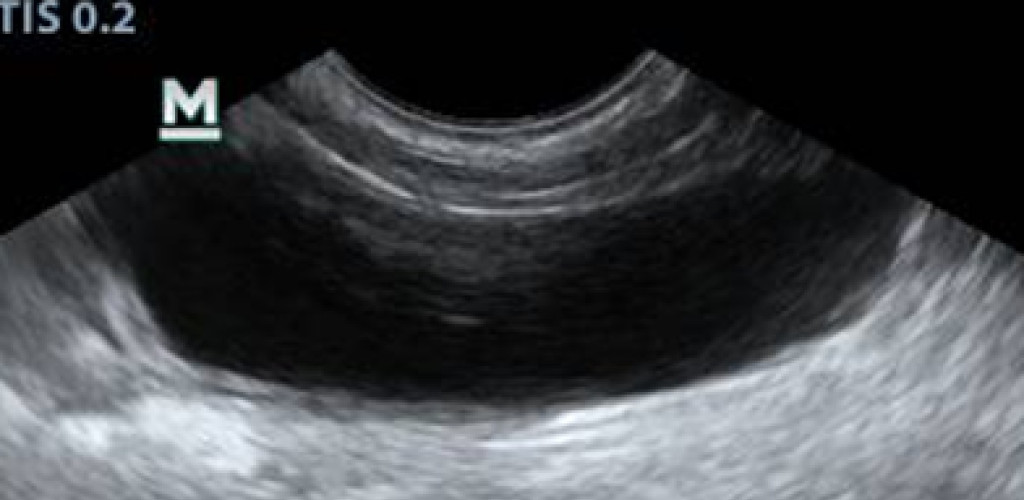 Рисунок 6 Рисунок 6