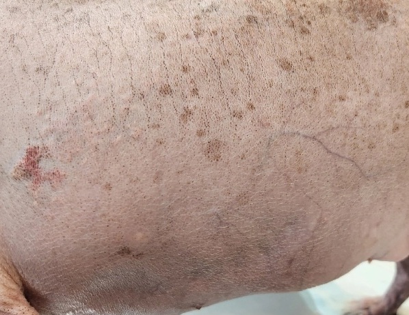 Фото 2Б. Фото 2Б.