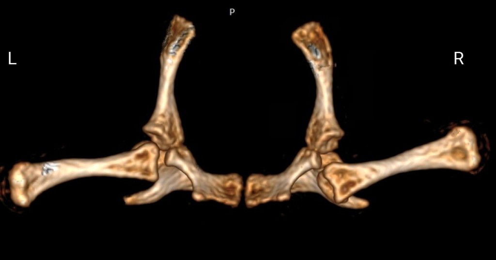 Фото 2.jpg Фото 2.jpg