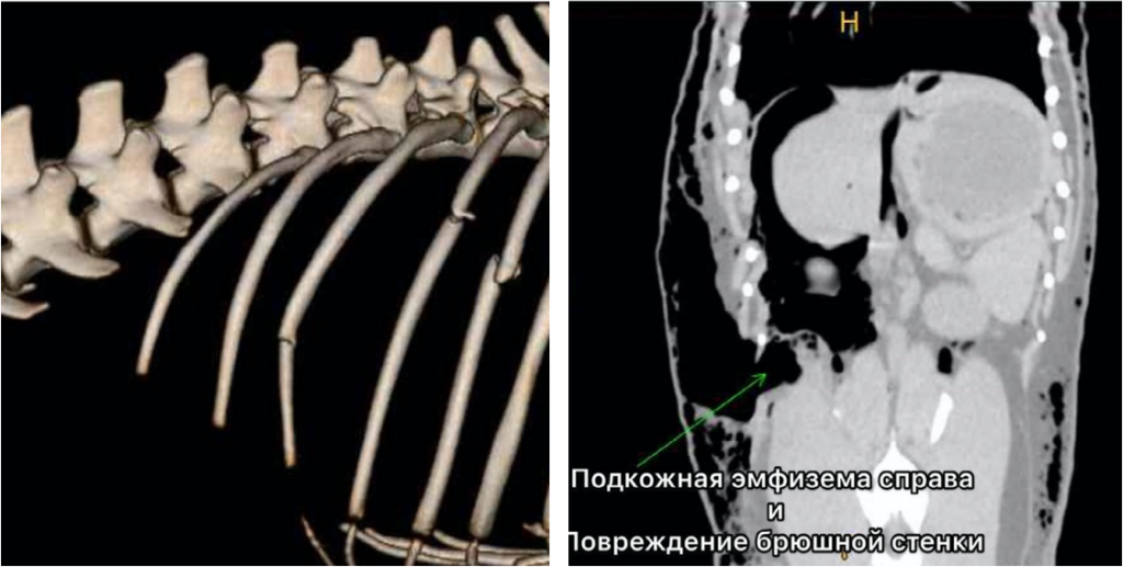 Фото 2 Фото 2