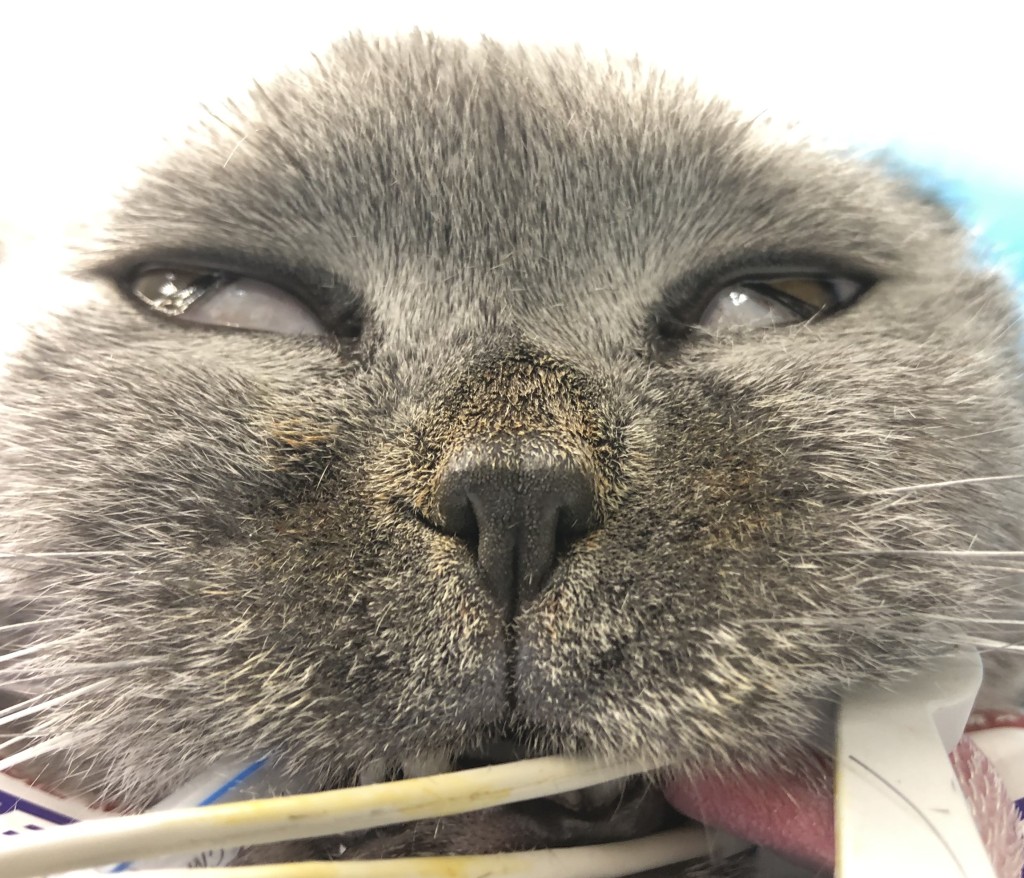 Рис 7а Рис 7а