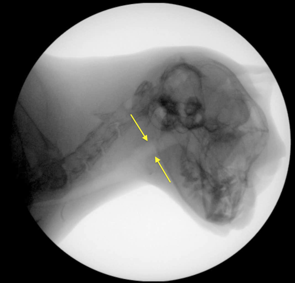 Рис 8а Рис 8а