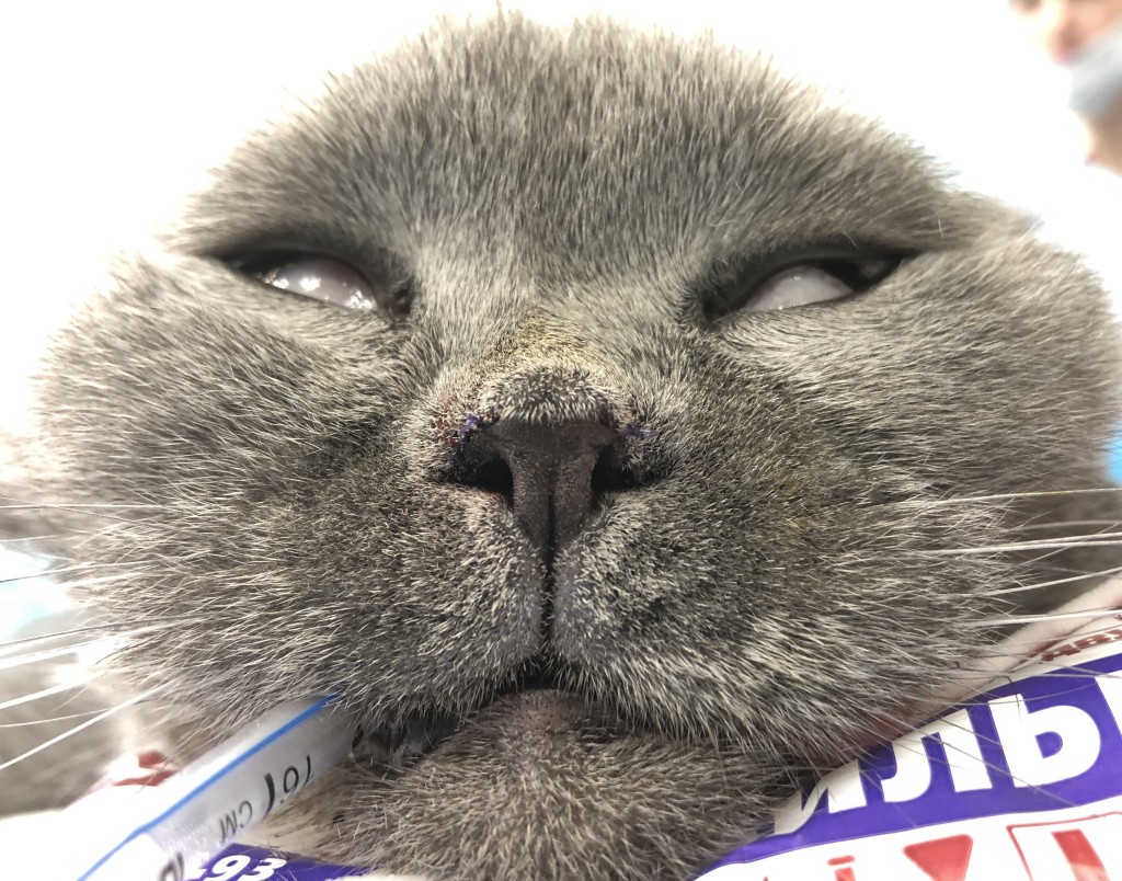 Рис 7б Рис 7б