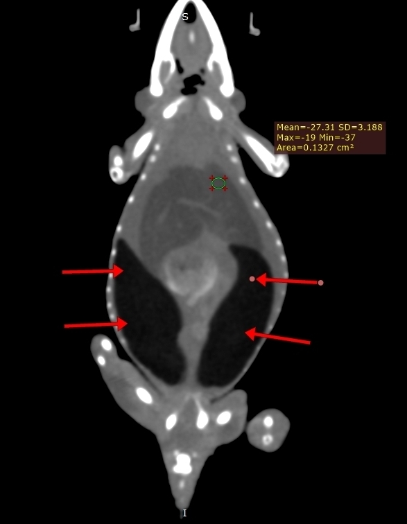 Фото 3 Фото 3