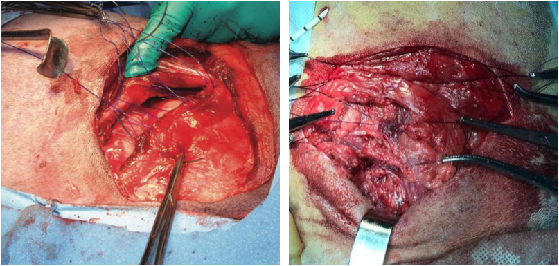 Фото 7-8 Фото 7-8