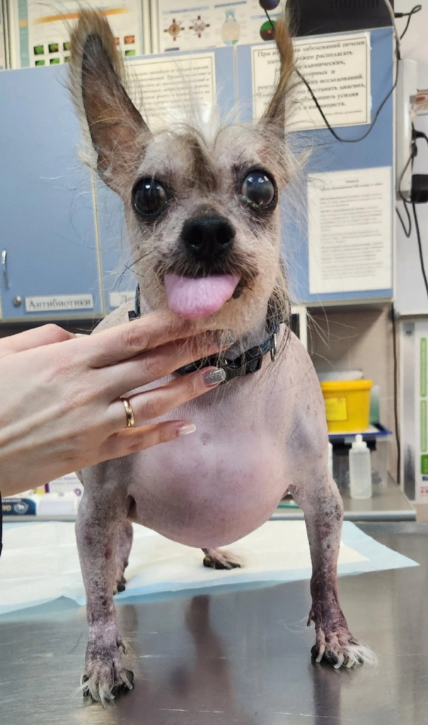 Фото 1А. Фото 1А.