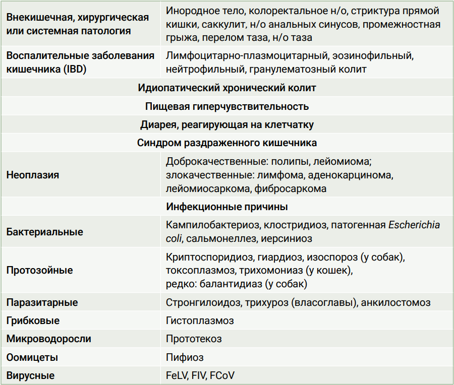 Таблица 2 Таблица 2
