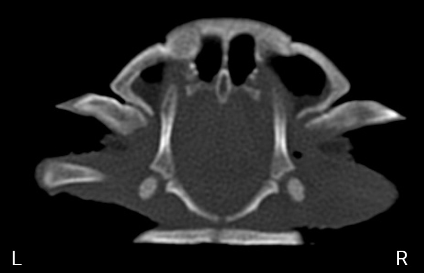 Фото 10 Фото 10