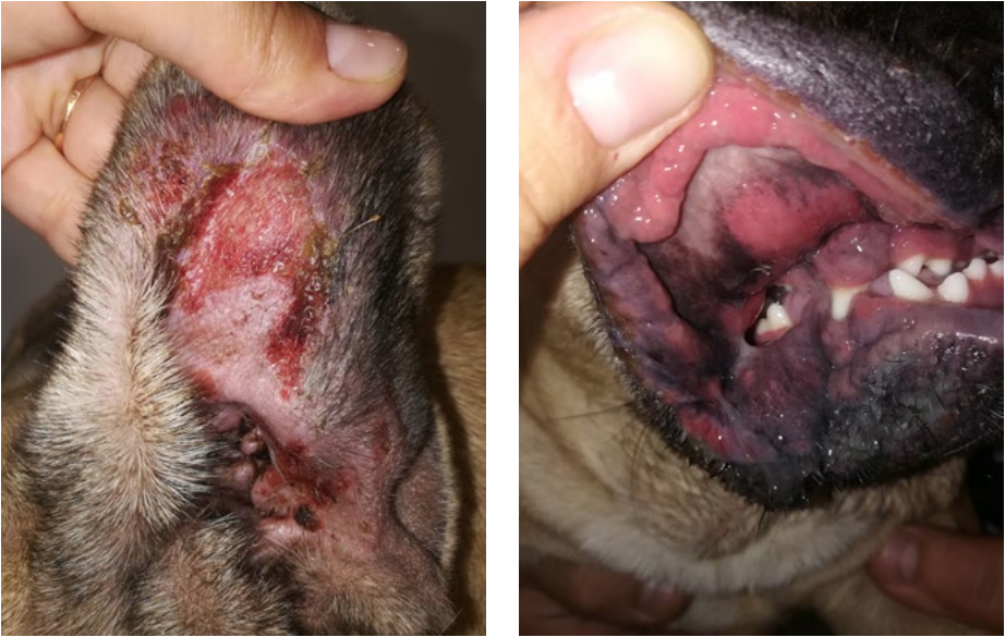 Рис. 5,6 Рис. 5,6