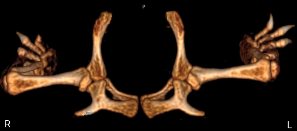 Фото 11 Фото 11