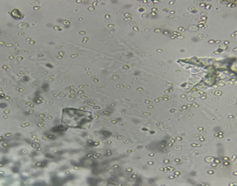 Рисунок 2 Рисунок 2