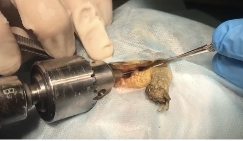 Фото 6 Фото 6