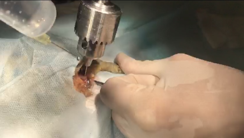 Фото 7 Фото 7