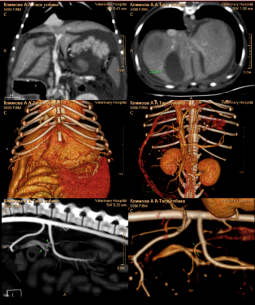 Фото 2.2 Фото 2.2