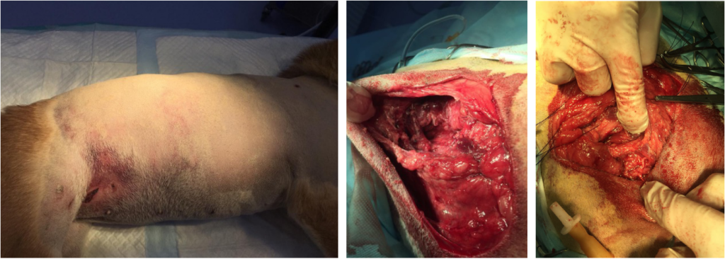 Фото 3-5 Фото 3-5