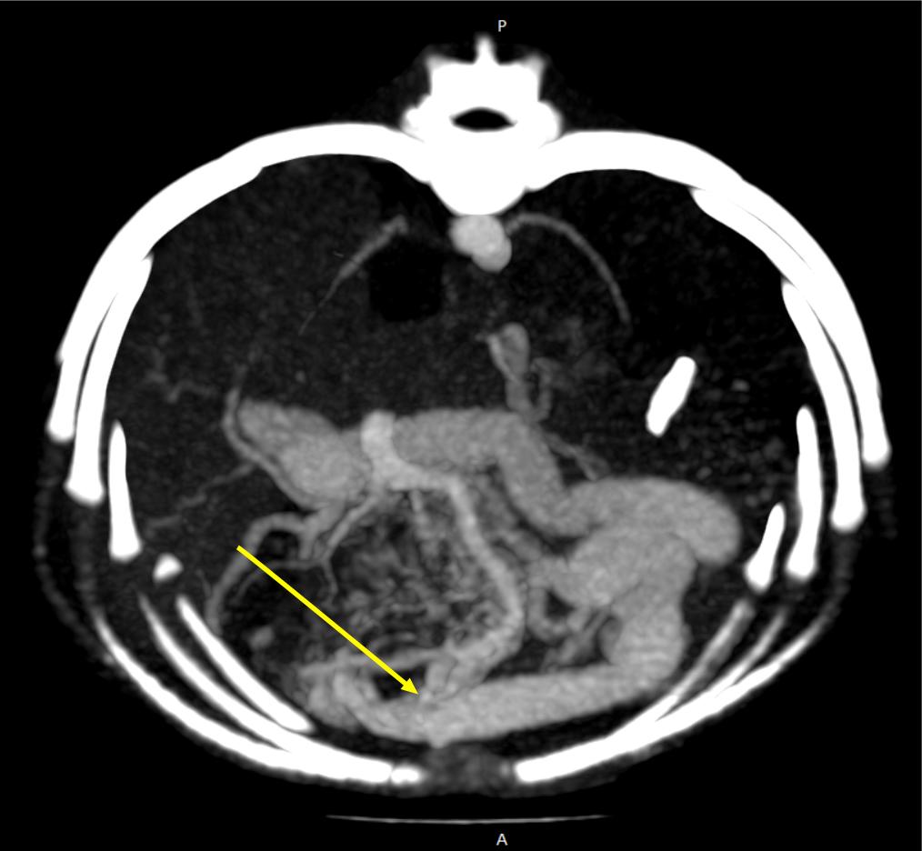 Рис 4 б Рис 4 б