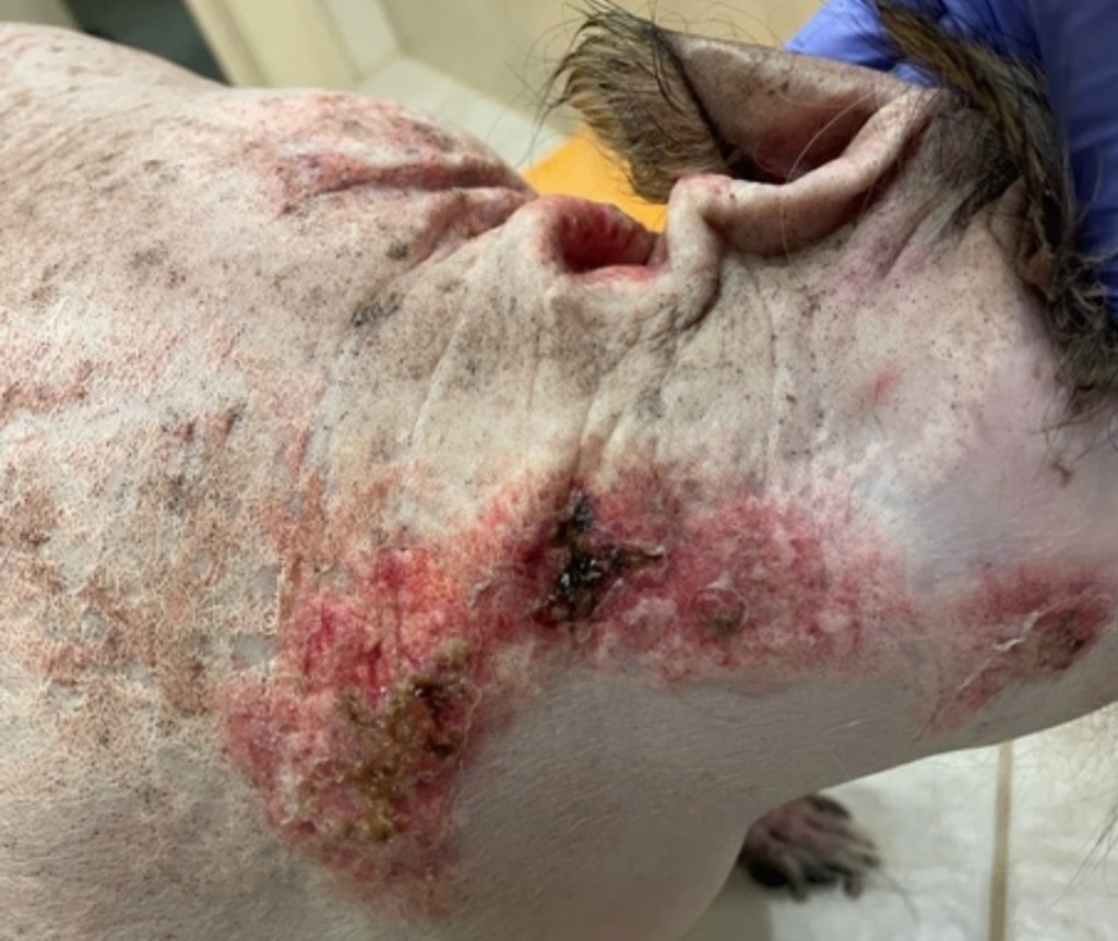 Фото 3Б Фото 3Б