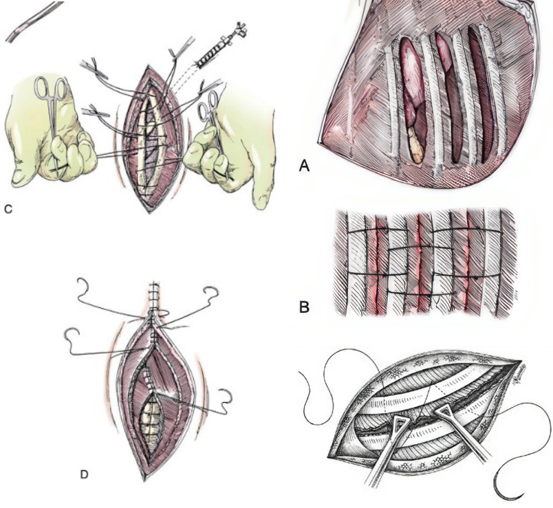 Фото 6 Фото 6