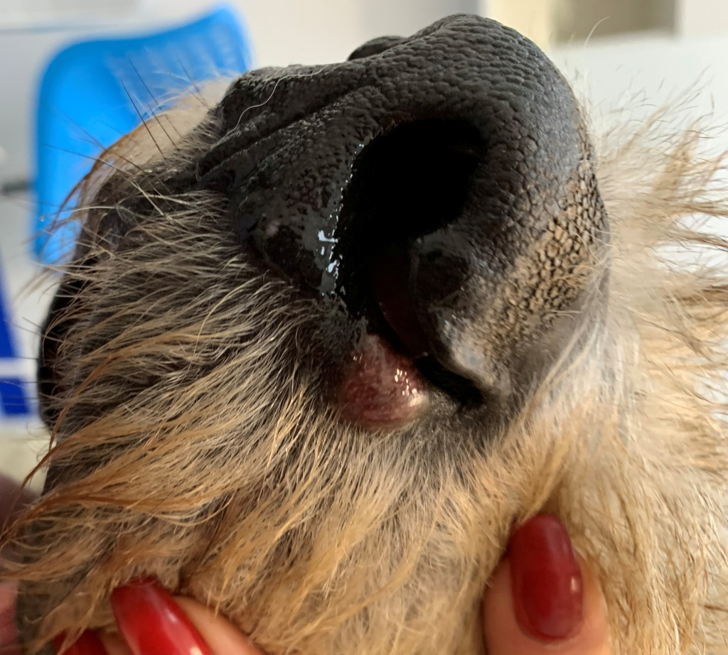 Фото 3 Фото 3