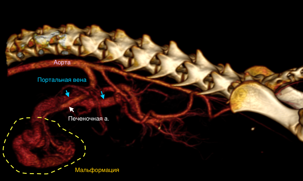 Рис 4 а Рис 4 а