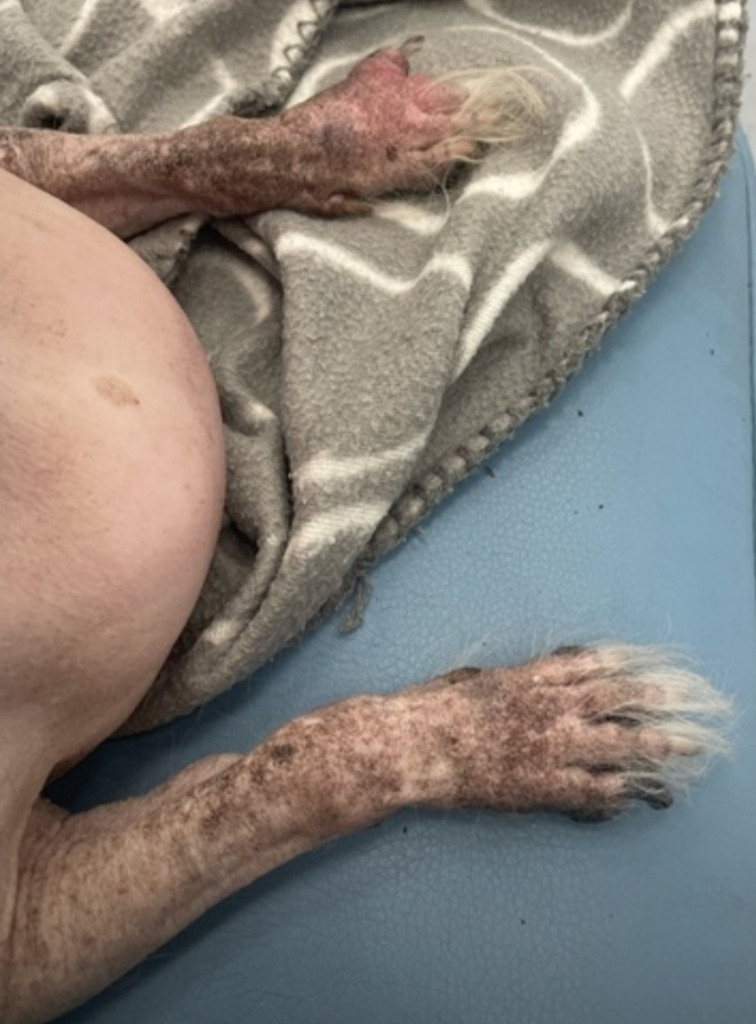 Фото 1Б. Фото 1Б.