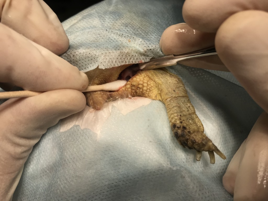 Фото 4 Фото 4.jpeg