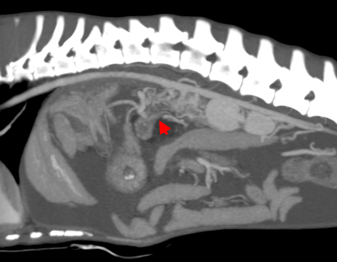 Рис 1 а Рис 1 а