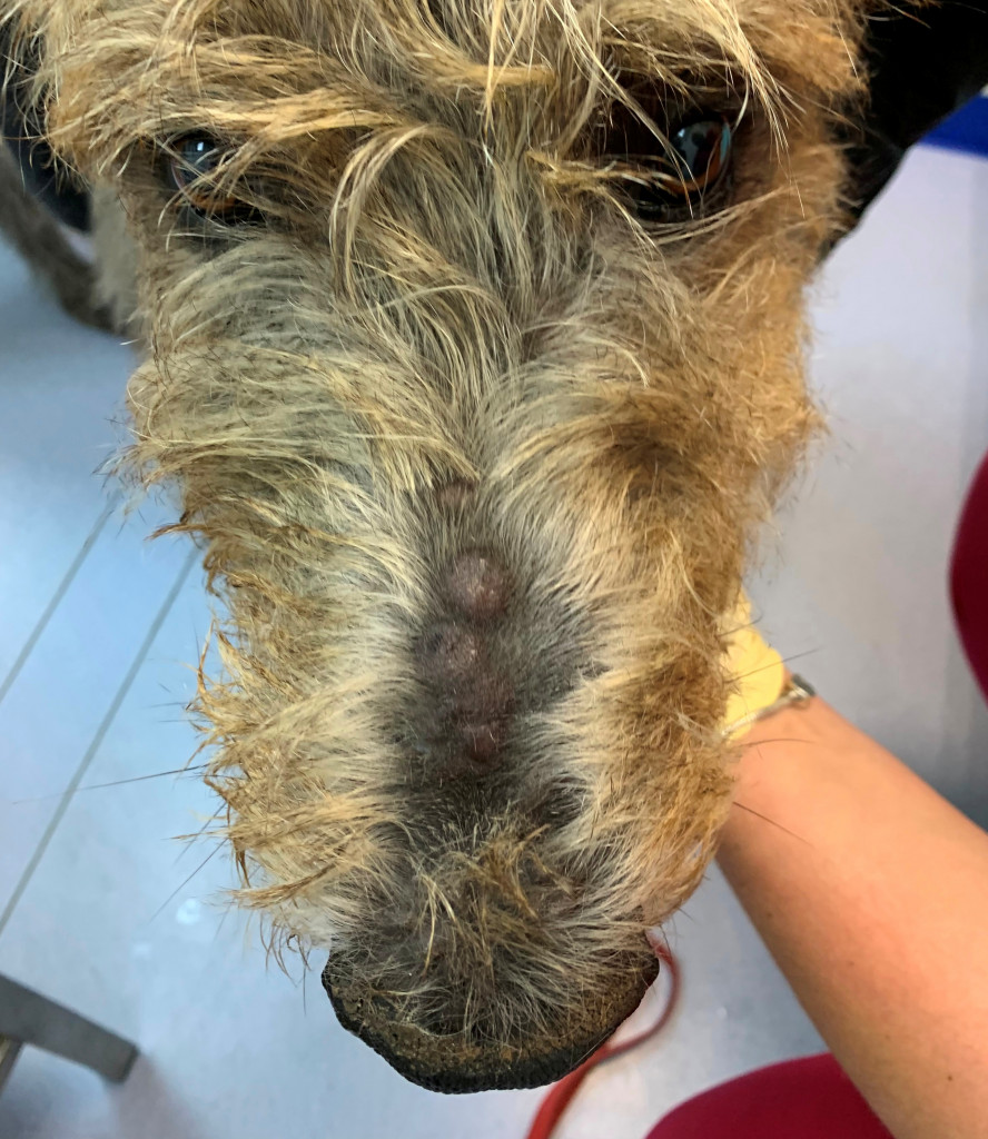 Фото 1 Фото 1