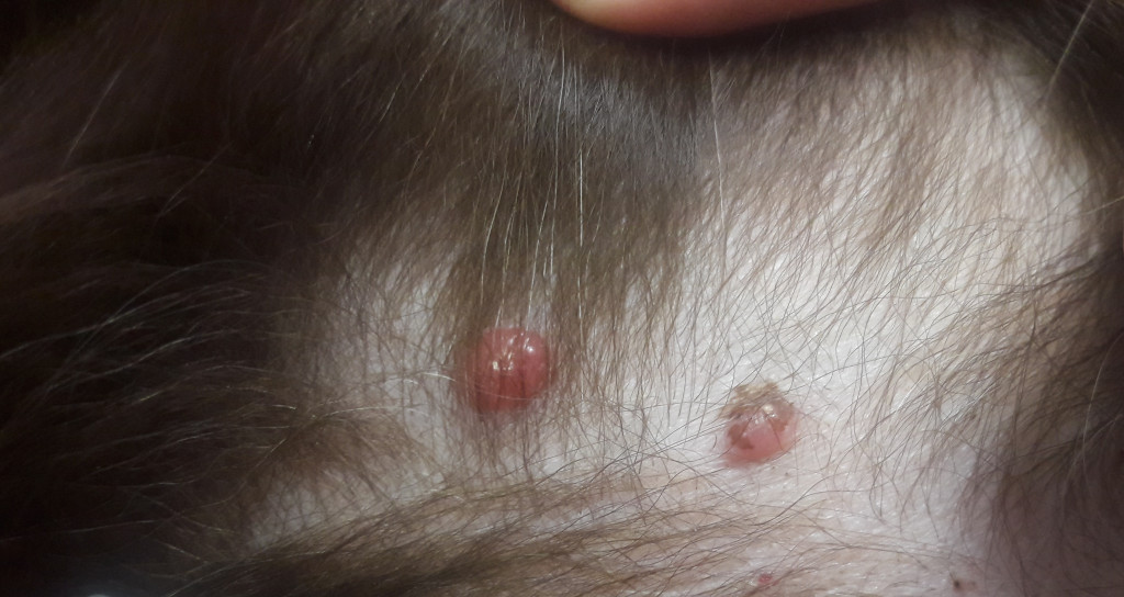 Фото 4 Фото 4