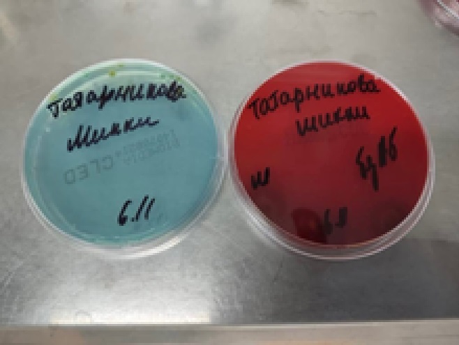 Рисунок 7_Б Рисунок 7_Б